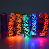 Safety Pet Collar With LED And Printed Design By Project Pet Lovers Club