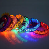 Safety Pet Collar With LED And Printed Design By I Love Dogs Society
