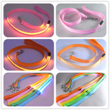 Safety Pet Leash With LED By Project Pet Lovers Club
