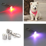 Safety 2x LED Dog Collar + Leash + Tag Ultimate Complete Set