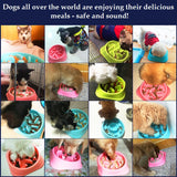 *HOT! - Anti Choke Cat And Dog Diet Maze Bowl