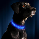 Safety Pet Collar With LED And Printed Design By I Love Dogs Society