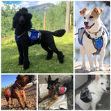 Dog Harness Vest - Backpack Style